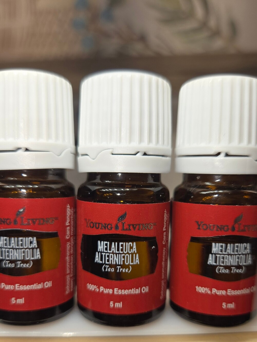 Young Living Melaleuca Alternifolia (Tea Tree) Essential Oil 3 Pack Look At Pics